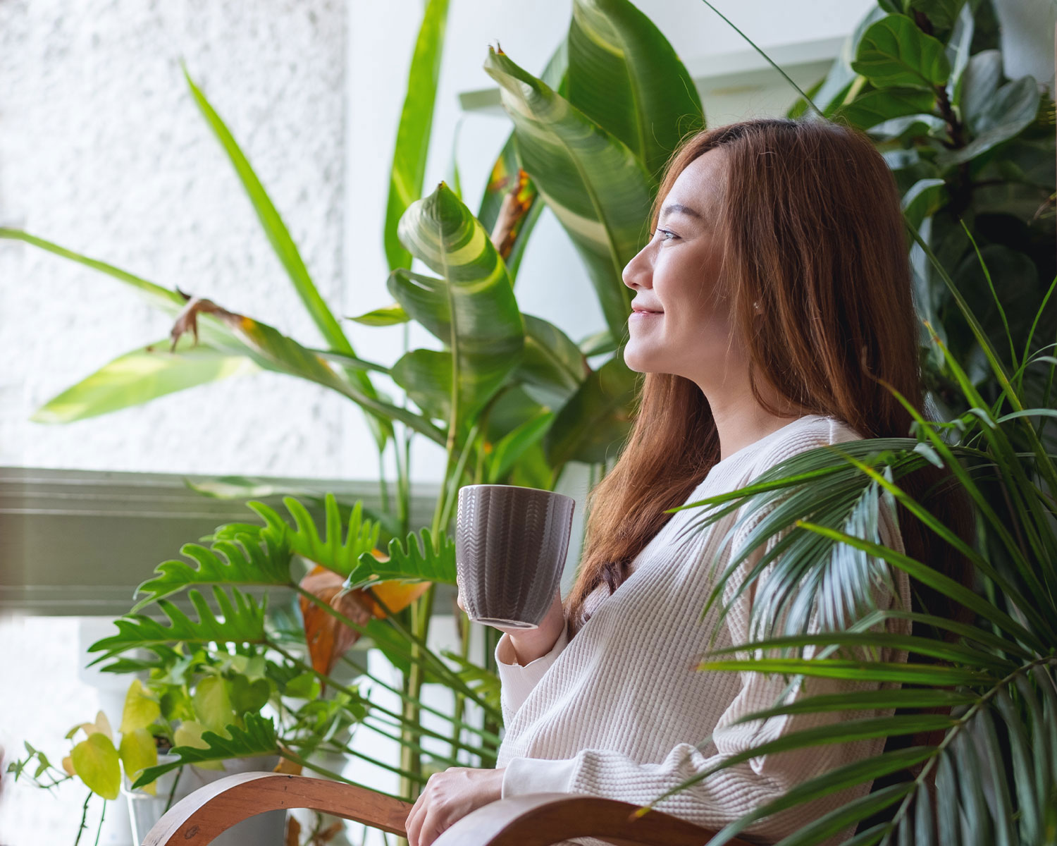 An yên - Lắng đọng